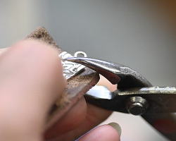 ���������@�E�@�W���G���[�X�N�[���@��ƕ��i