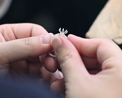 ���������@�E�@�W���G���[�X�N�[���@��ƕ��i